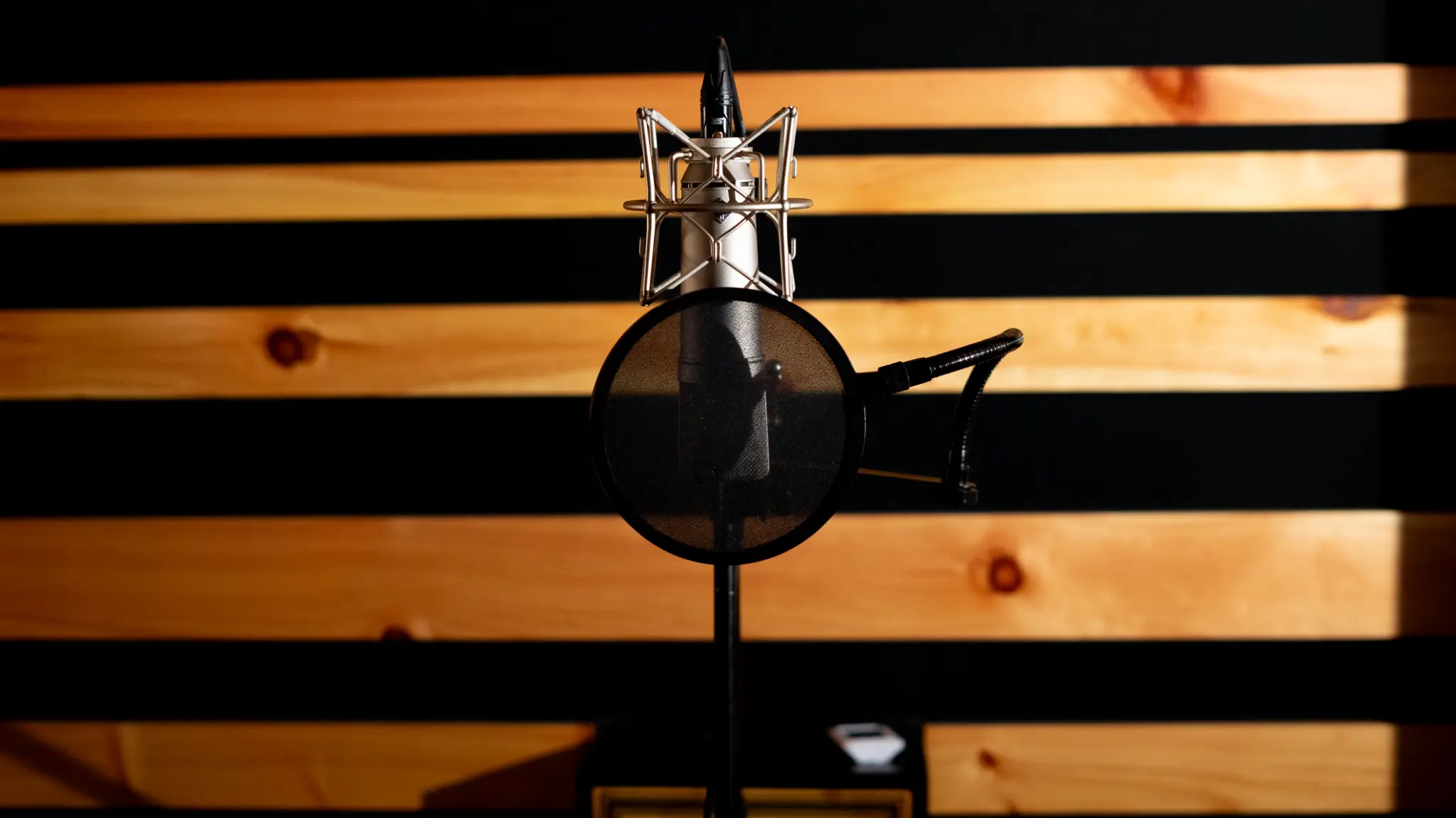 Condenser microphone with pop filter in recording booth